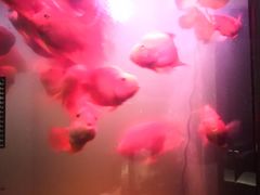 -大唐盲人按摩中心(黄山路店)