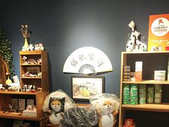 -猫小主咖啡·猫咖cat cafe(福田店)