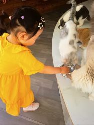 -萌宠亲子动物乐园(槐房万达店)