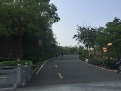 -神光山国家森林公园