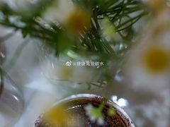 脏Dirty咖啡-常识咖啡common sense(春熙路店)