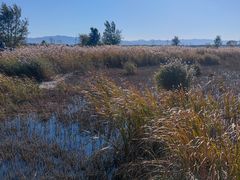 -野鸭湖国家湿地公园