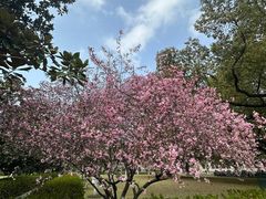 -星巴克(上海交通大学店)