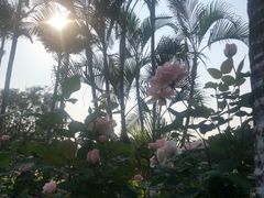 -人民公园(罗湖区)