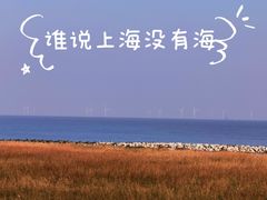 -南汇嘴观海公园