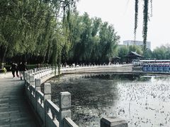 -莲花池公园