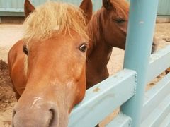 -酷鱼垂钓CLUB(朝阳区博大路店 )