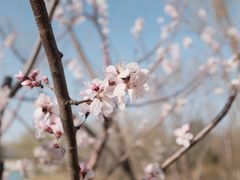 -朝阳公园