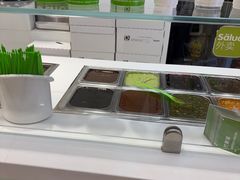 -Salud撒露欧洲冻酸奶(蓝色港湾店)