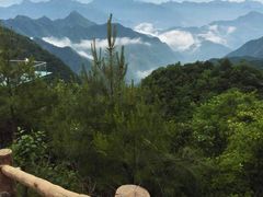 -塔云山