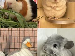 -交通银行前滩31演艺中心