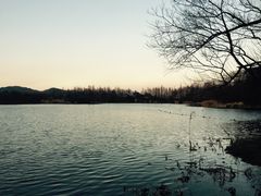 -西院1号(龙井店)