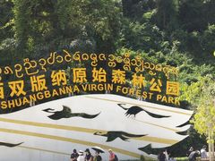 -西双版纳原始森林公园