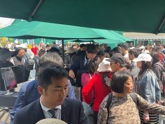 -荷兰花海