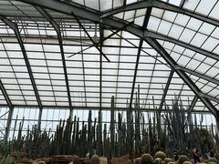 -南通洲际绿博园