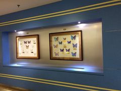 -上海昆虫博物馆