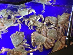 -蟹道乐(道顿堀本店)