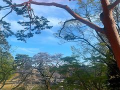 -三鹰之森吉卜力美术馆