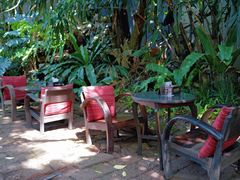 -Fern Forest Cafe