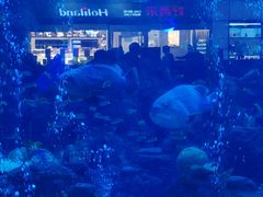 -成都浩海立方海洋公园