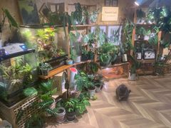 -Rabbit Cafe私房西餐甜点咖啡(栖霞路店)