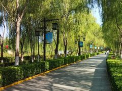 -西安汉城湖景区