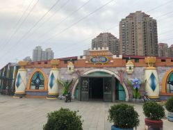 -维佳童话镇演出现场(徐东店)