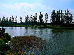 -美兰湖景区
