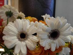 -川匠·睡眠采耳·SPA(九眼桥店)