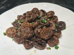 -同仁四季椰子鸡(罗湖国贸店)