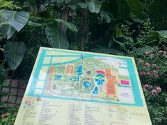 -九龙公园