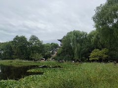 -常家庄园