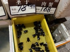 -美未居·老字号·地道顺德菜·桑拿鸡·鱼生(容桂店)