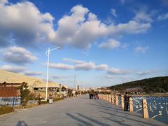 -烟墩角天鹅湖