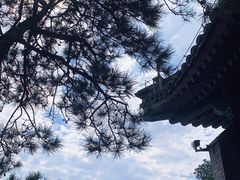-颐和园
