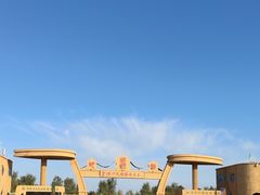 -金塔沙漠胡杨林景区