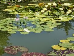 -国家植物园南园