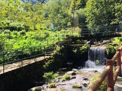 -藏龙百瀑风景区