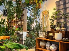 -自由生长植物工作室(深港花卉中心店)