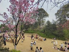 -南山植物园