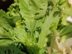 -草原塞蛮羊火锅城(港湾店)