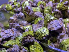 -聚盛源蒸汽海鲜火锅烤肉自助(巨川金海岸购物广场店)