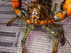 -潮喜竹溪荔湖酒家(荔枝湾店)