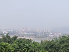 -南山植物园