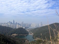 -桃花岭景区