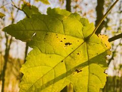 -仙海旅游度假区