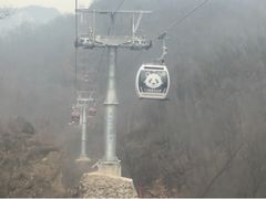 -栾川竹海野生动物园