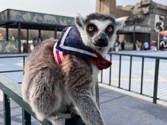 -北京野生动物园