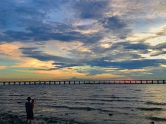 -宝安西湾红树林湿地公园