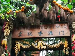 -西双版纳原始森林公园
